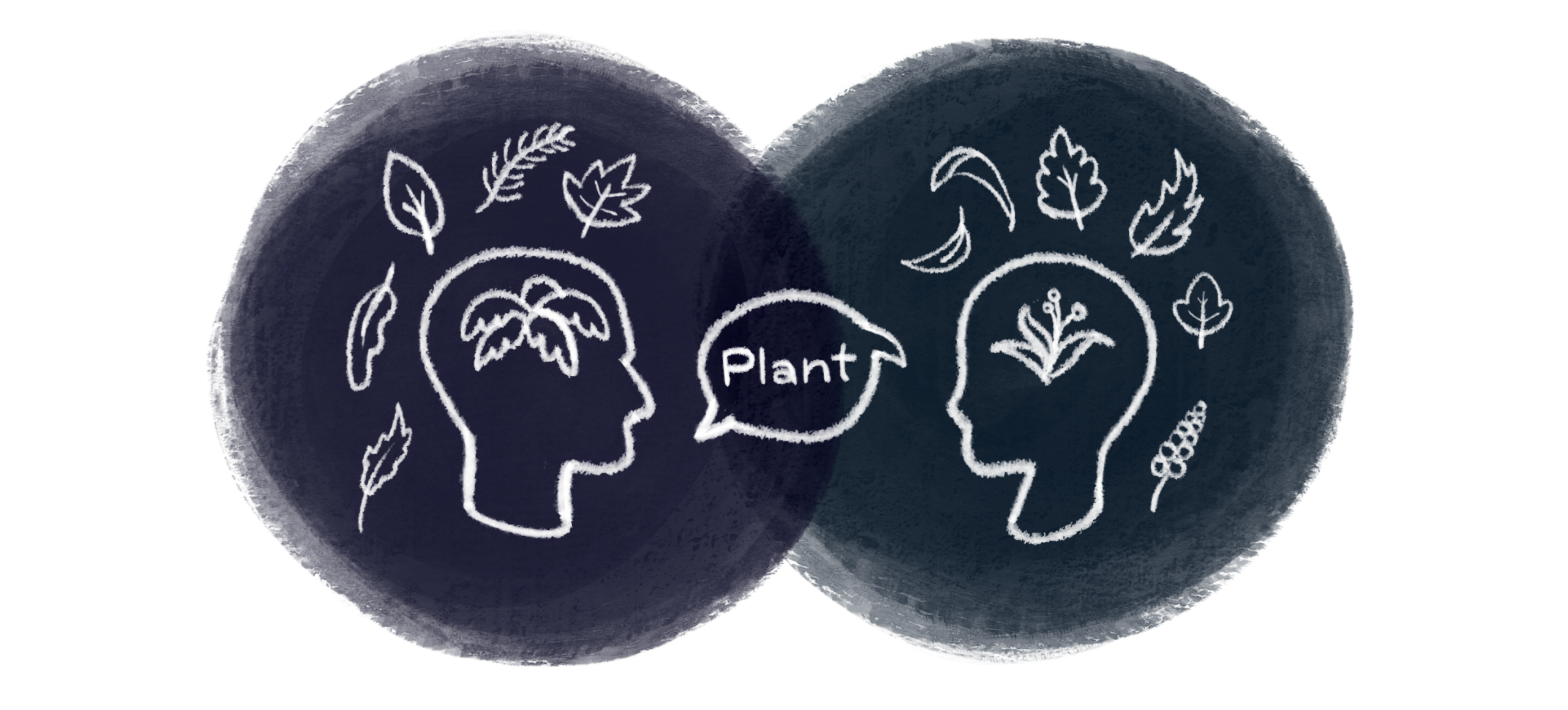 Illustration of two people sharing the word 'plant' with different images in mind